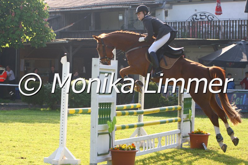 005M3784_Kavalier_Springpferde A.JPG